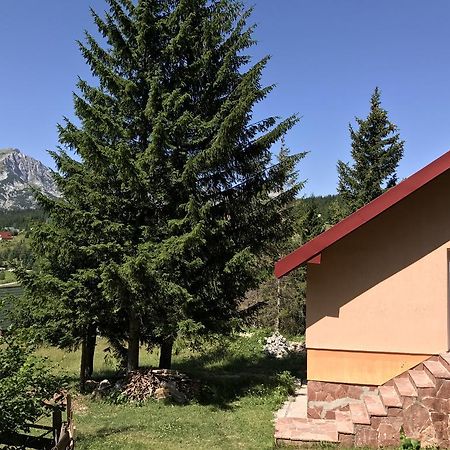 Durmitor Apartments Holiday Žabljak Εξωτερικό φωτογραφία