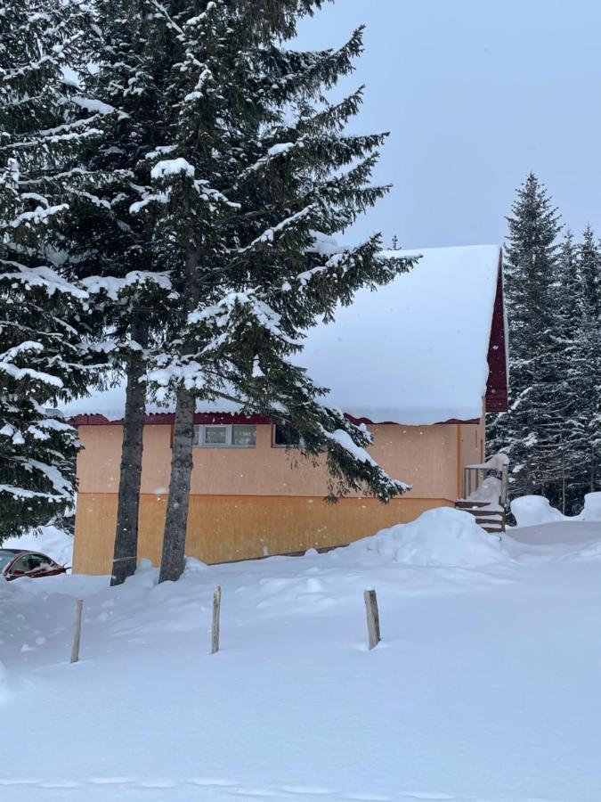 Durmitor Apartments Holiday Žabljak Εξωτερικό φωτογραφία