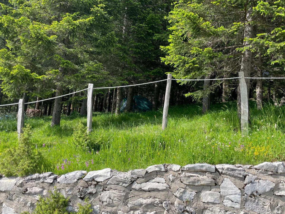 Durmitor Apartments Holiday Žabljak Εξωτερικό φωτογραφία