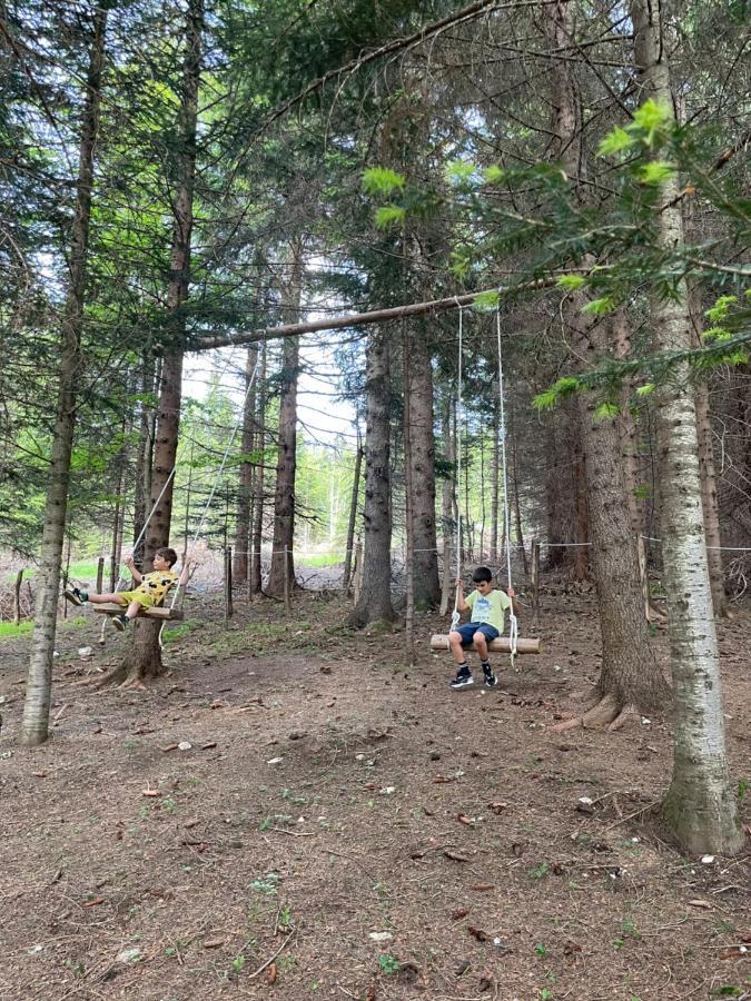 Durmitor Apartments Holiday Žabljak Εξωτερικό φωτογραφία