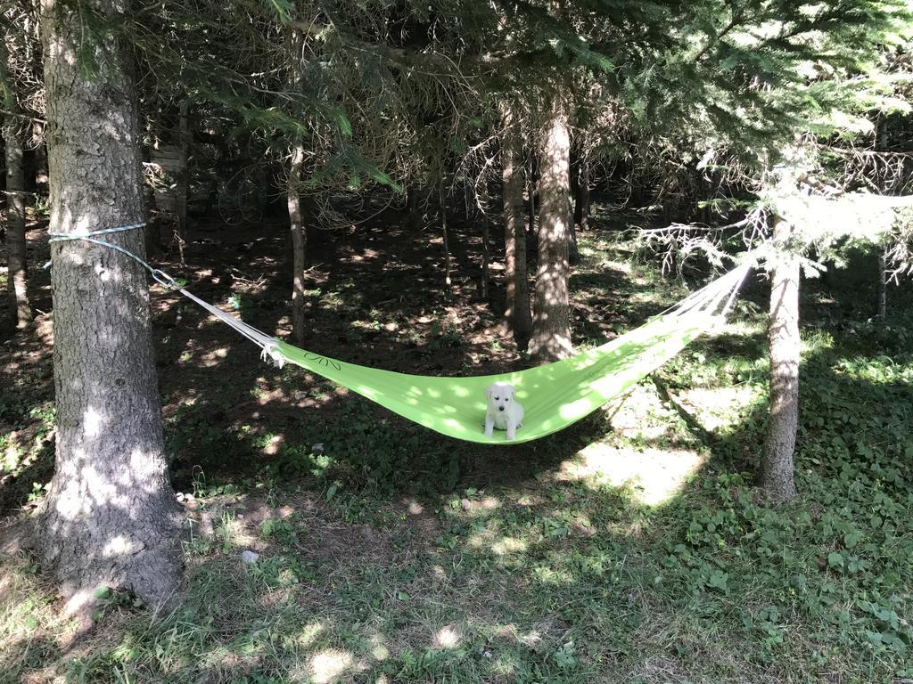 Durmitor Apartments Holiday Žabljak Εξωτερικό φωτογραφία
