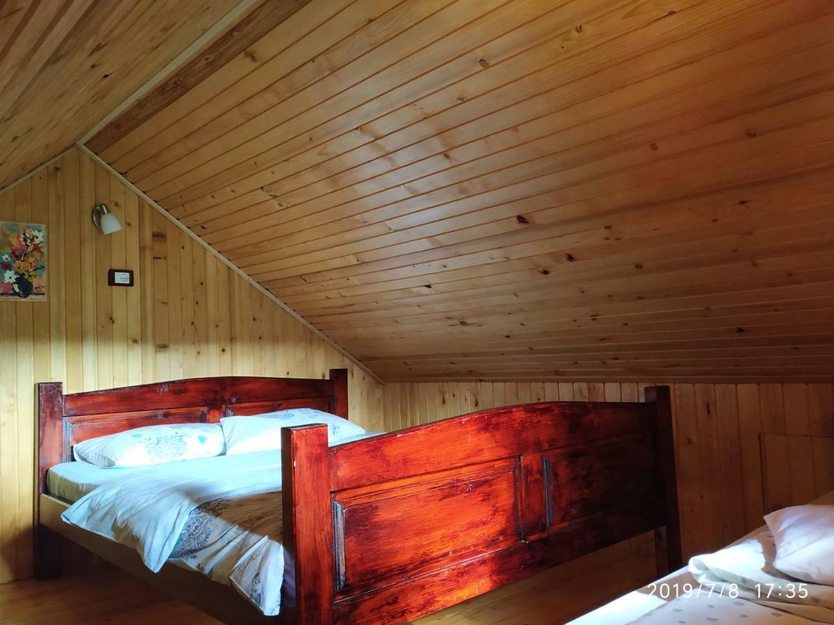 Durmitor Apartments Holiday Žabljak Εξωτερικό φωτογραφία